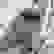 item-100764085=5