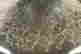 item-102759867=4