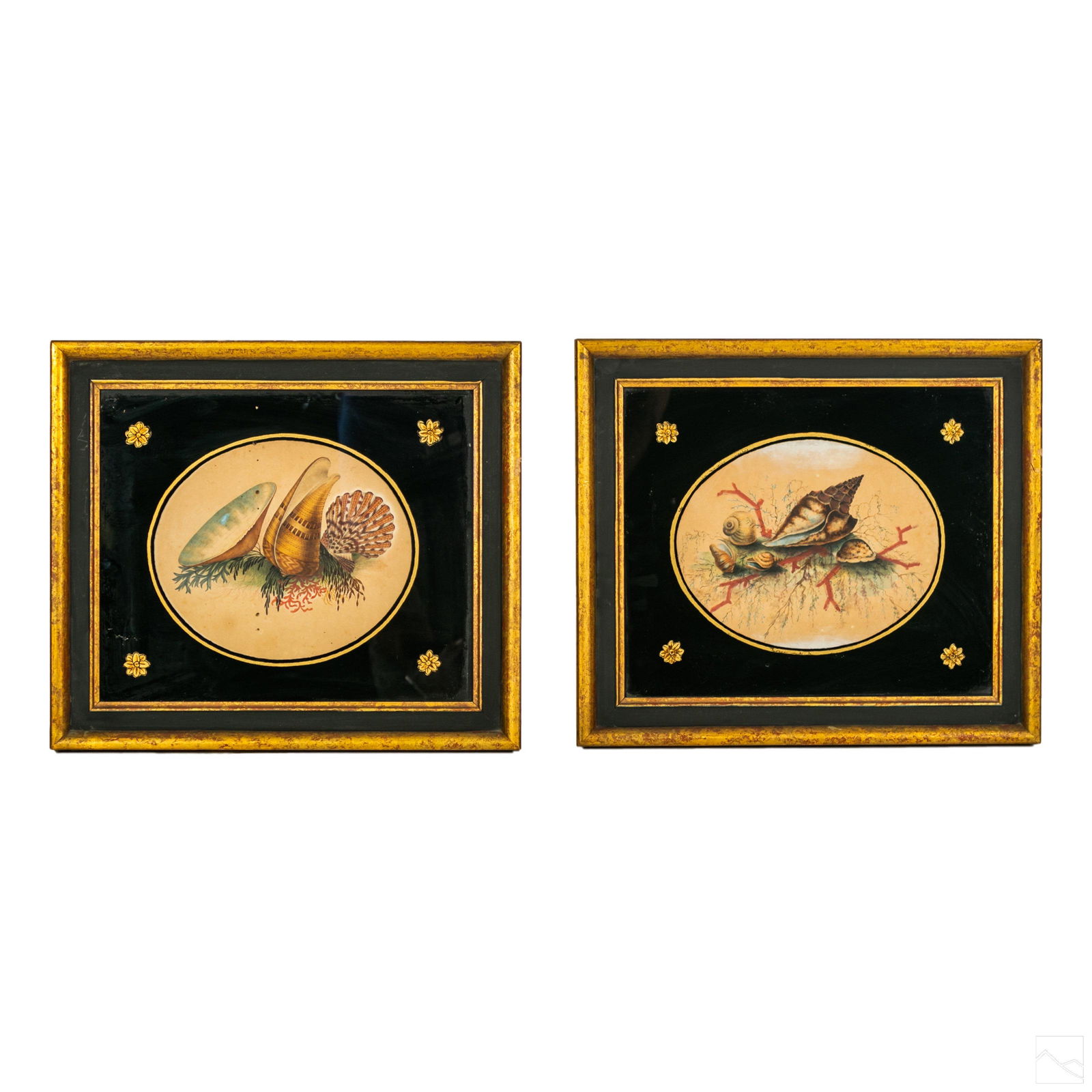 Seashell Still Life Antique Watercolor Paintings (1 of 4)