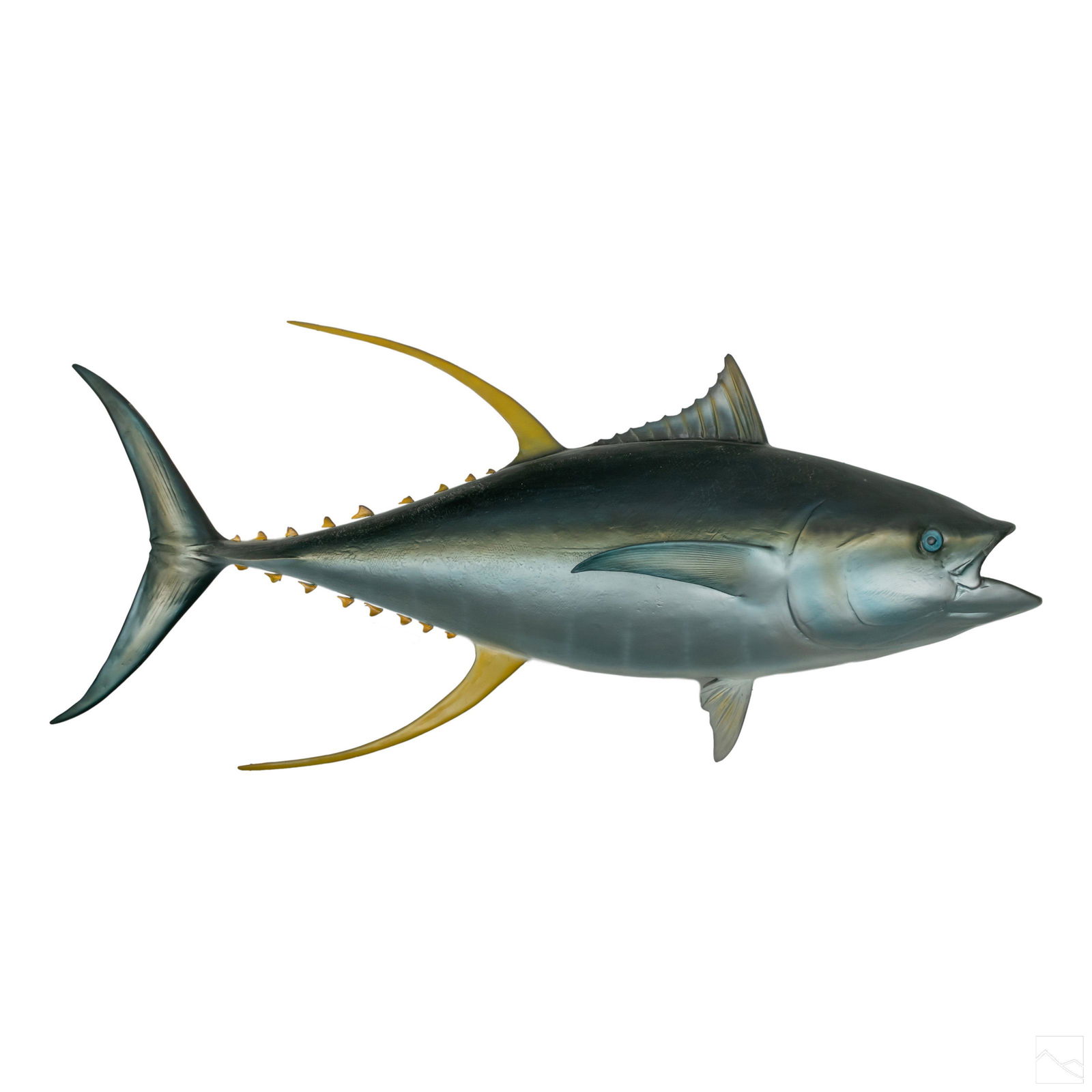 Taxidermy 75" Yellowfin Tuna Wall Trophy Mount (1 of 4)