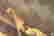 item-106871896=4