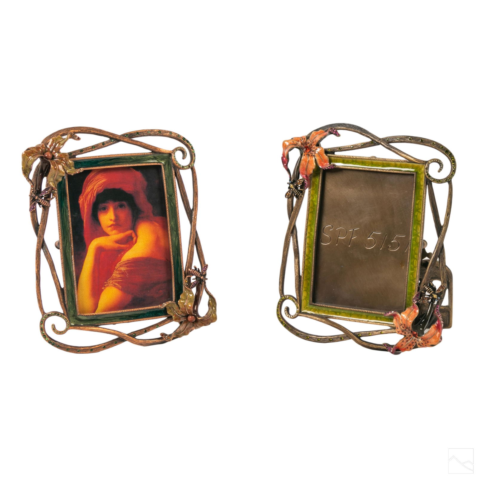 Jay Strongwater Dragonfly & Floral Picture Frames (1 of 4)