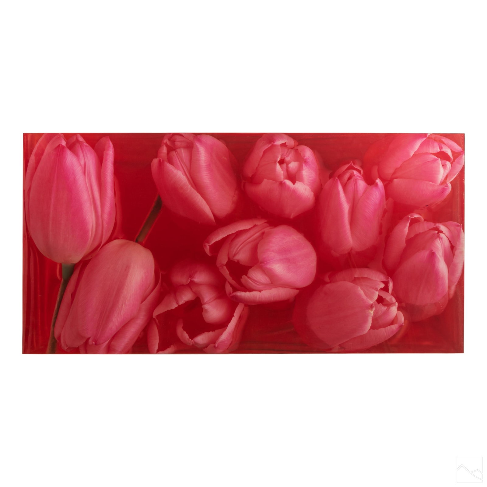 Modern Tulips Floral Digital Art Photography Print (1 of 4)