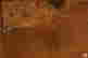 item-111051651=5