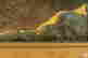 item-111052053=3