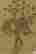 item-111052187=2