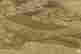 item-111052187=3