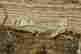 item-111052187=5