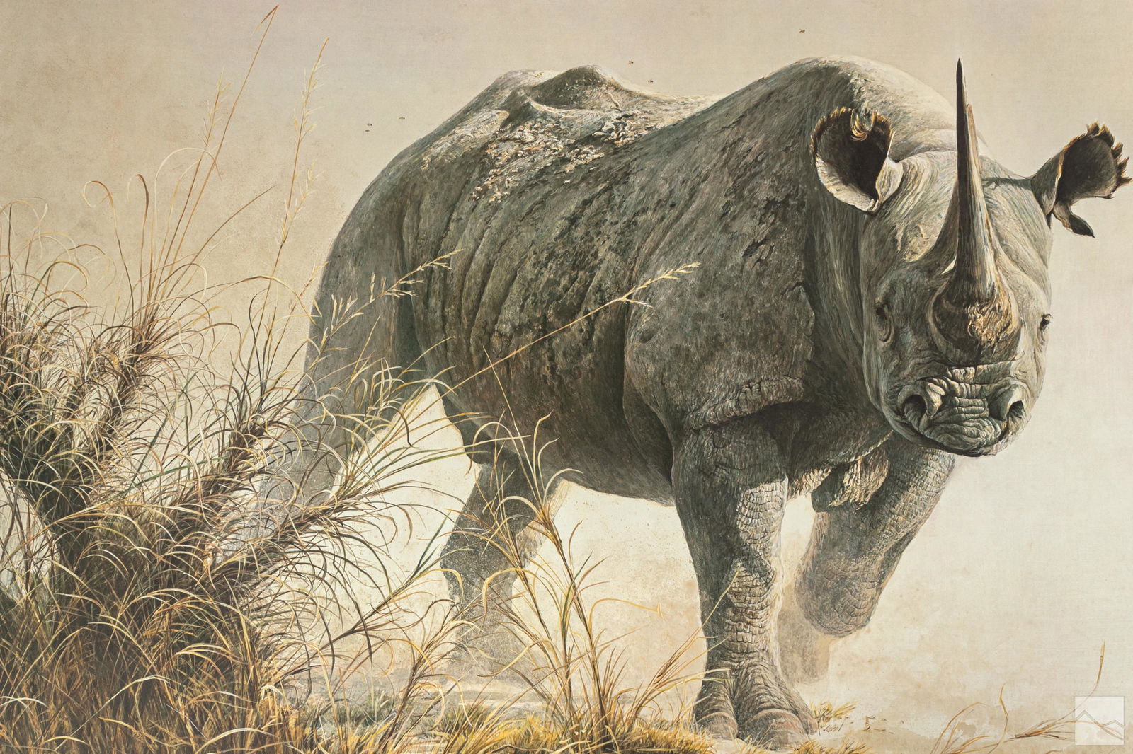 Robert Bateman b.1930 Charging Rhino Print SIGNED (1 of 5)