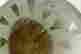 item-113543421=5