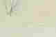 item-113543427=3