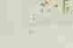 item-113543428=4
