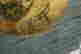 item-113543456=5