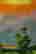 item-113543492=2
