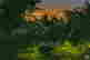 item-113543492=3