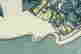 item-113543556=3