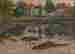item-113543623=2