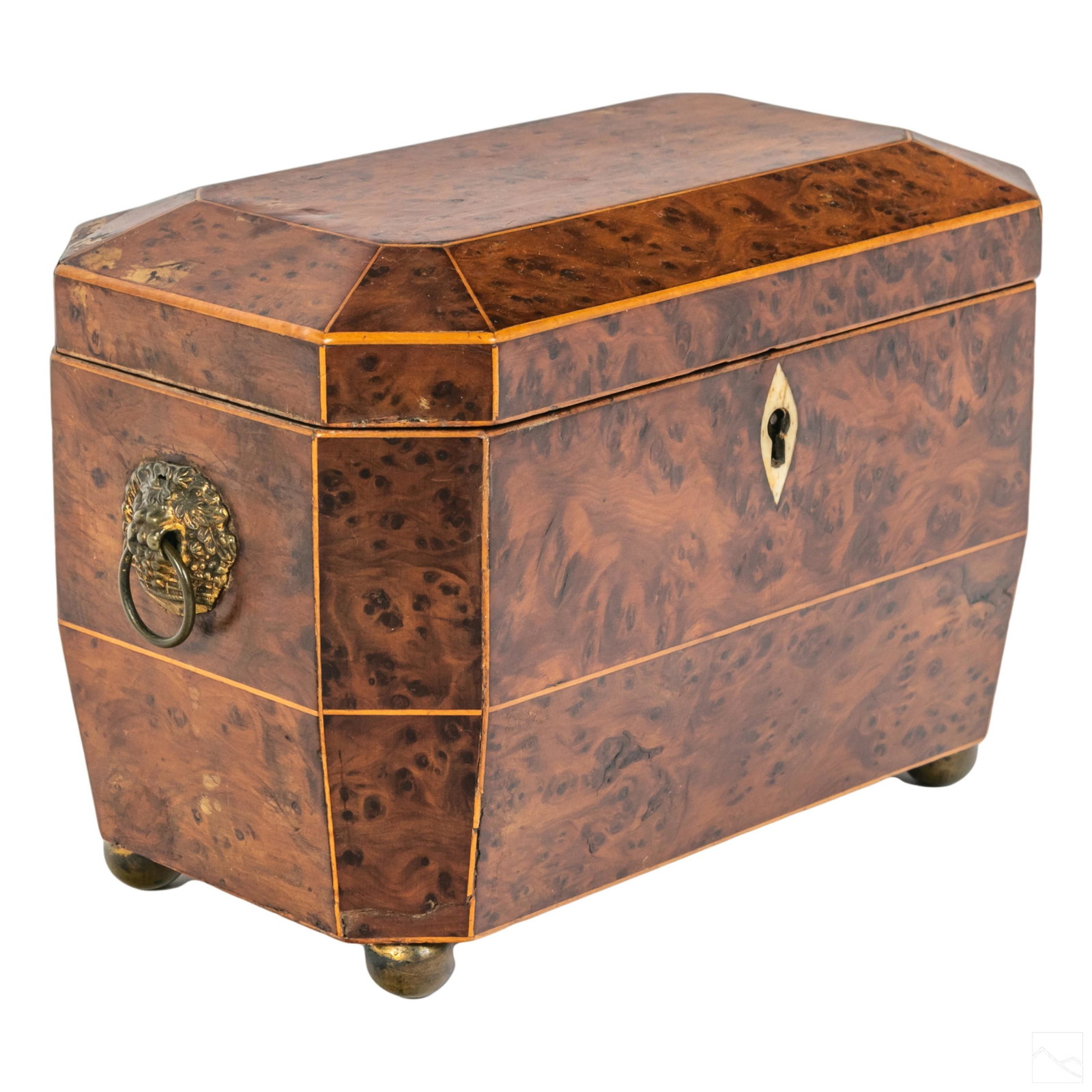 English 19C Antique Burl Wood Hinged Tea Caddy Box (1 of 6)