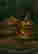 item-113543715=2