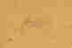 item-113543728=4