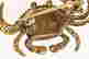 item-113543754=4