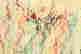 item-115115894=3