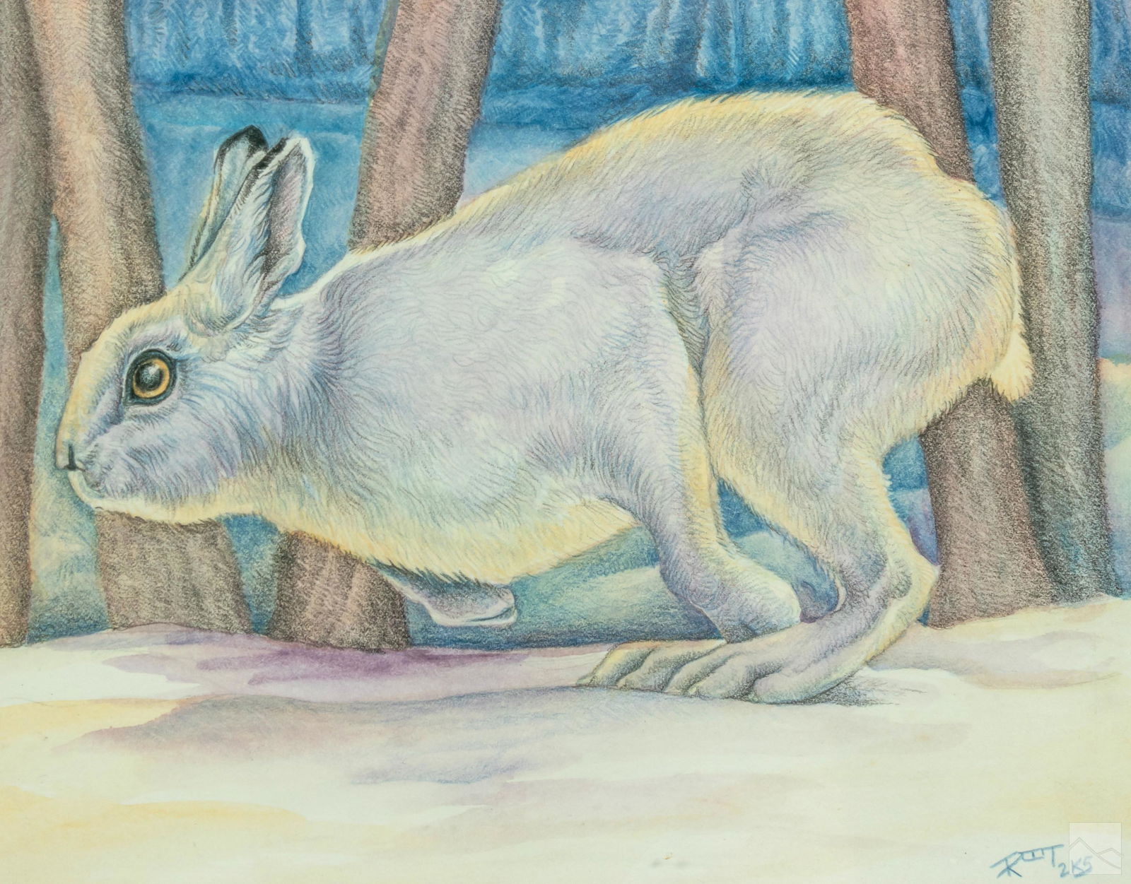 Root (21C.) Modern Wildlife Figural Pencil Drawing (1 of 5)