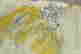 item-115116186=6