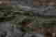 item-116672988=6