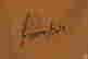 item-116672995=5
