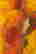 item-116673116=2