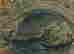 item-116673407=2