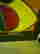 item-120088558=9