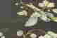item-120088560=13