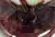 item-120088575=4