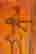 item-120088618=2