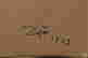 item-120088620=2