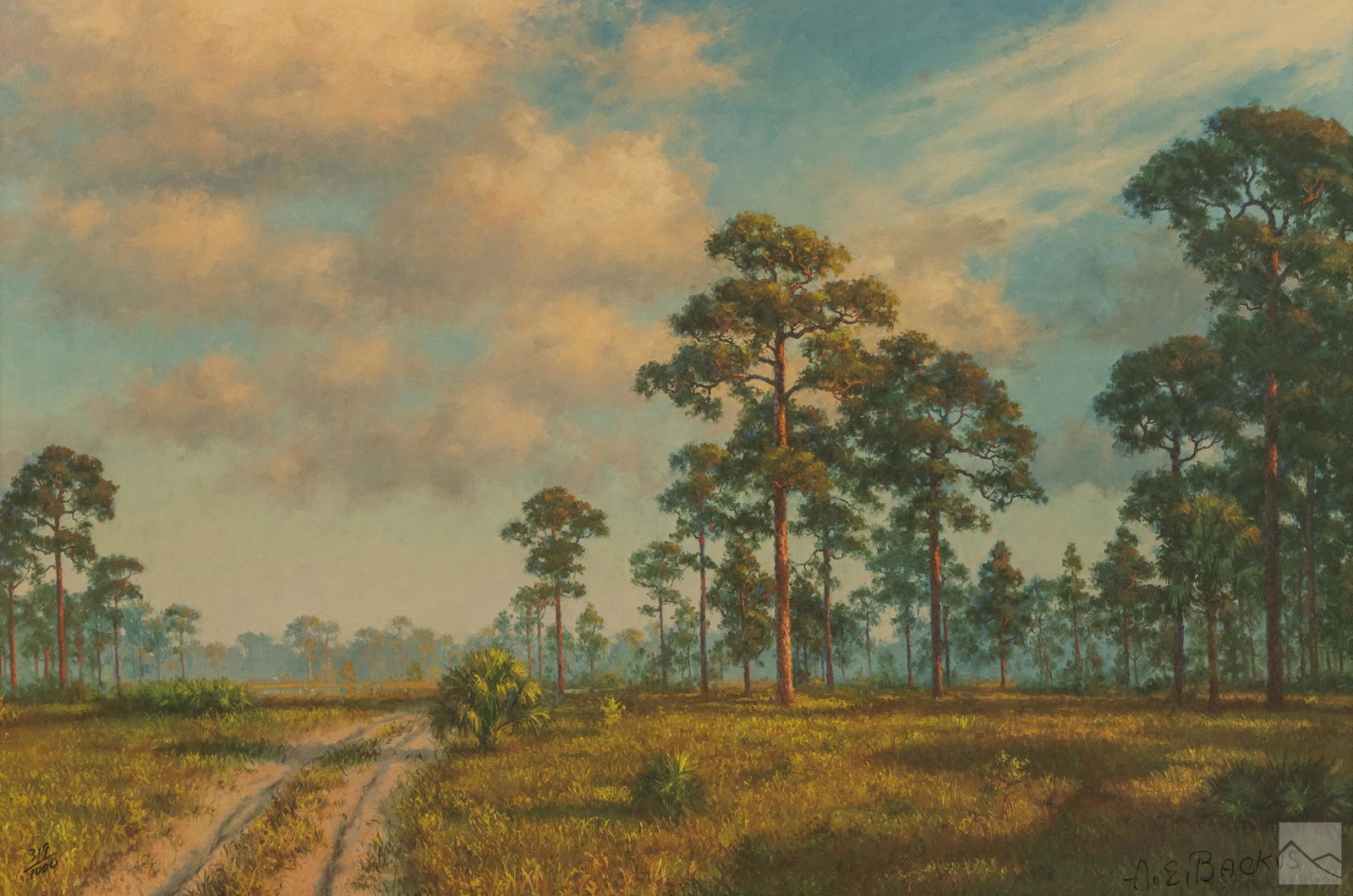 AE Beanie Backus 1906-1990 Florida Landscape Litho (1 of 6)