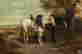 item-120088724=2
