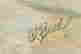 item-120088807=3
