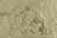 item-120089024=2