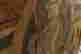 item-120089187=3