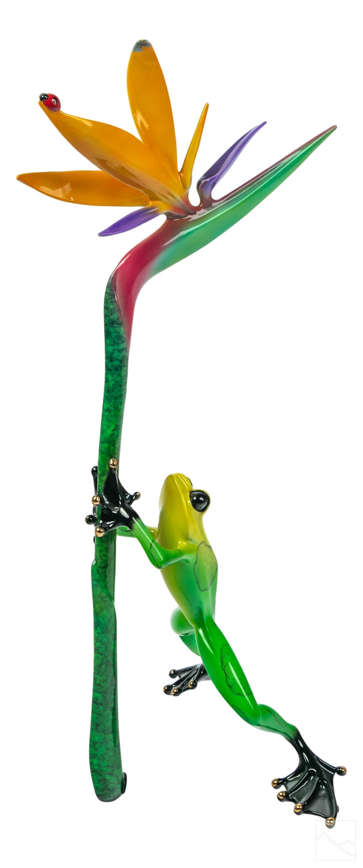 Tim Cotterill b.1950 Bronze Paradise Frog Figurine (1 of 7)