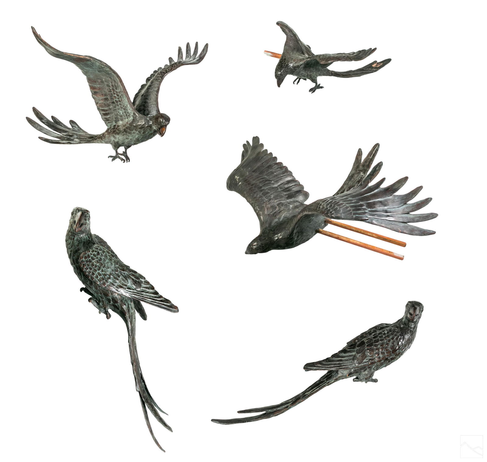 Geoffrey C Smith (b.1961) Bronze Parrot Sculptures (1 of 11)