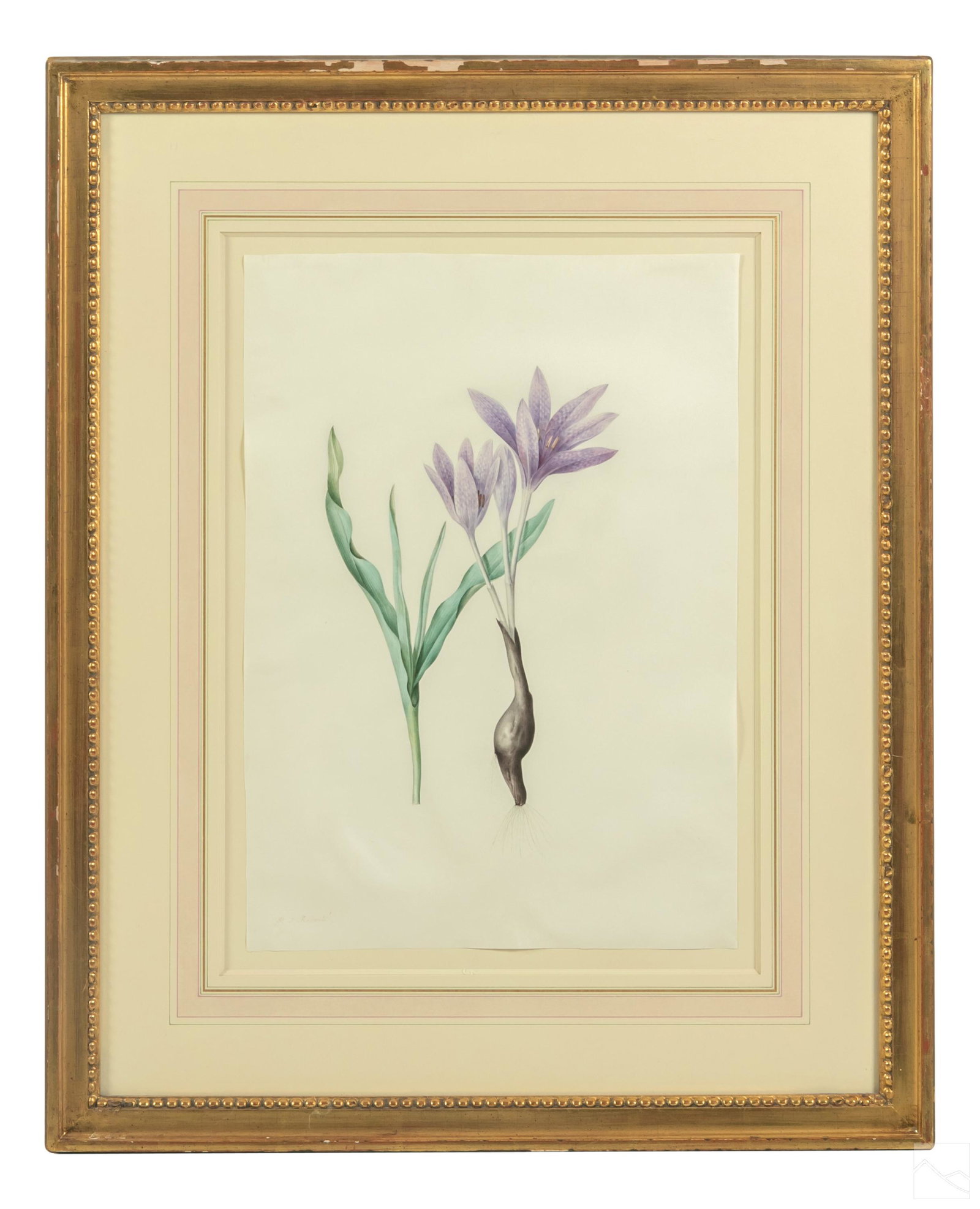 Pierre J. Redoute (1759-1840) Still Life Painting (1 of 7)