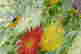 item-126054389=4