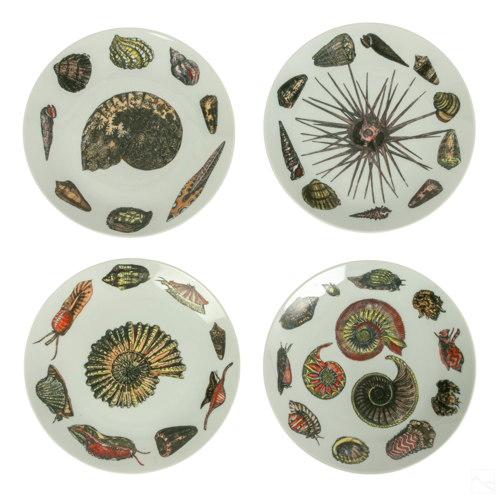 Piero Fornasetti Porcelain Conchiglie Plates SET 4 (1 of 8)