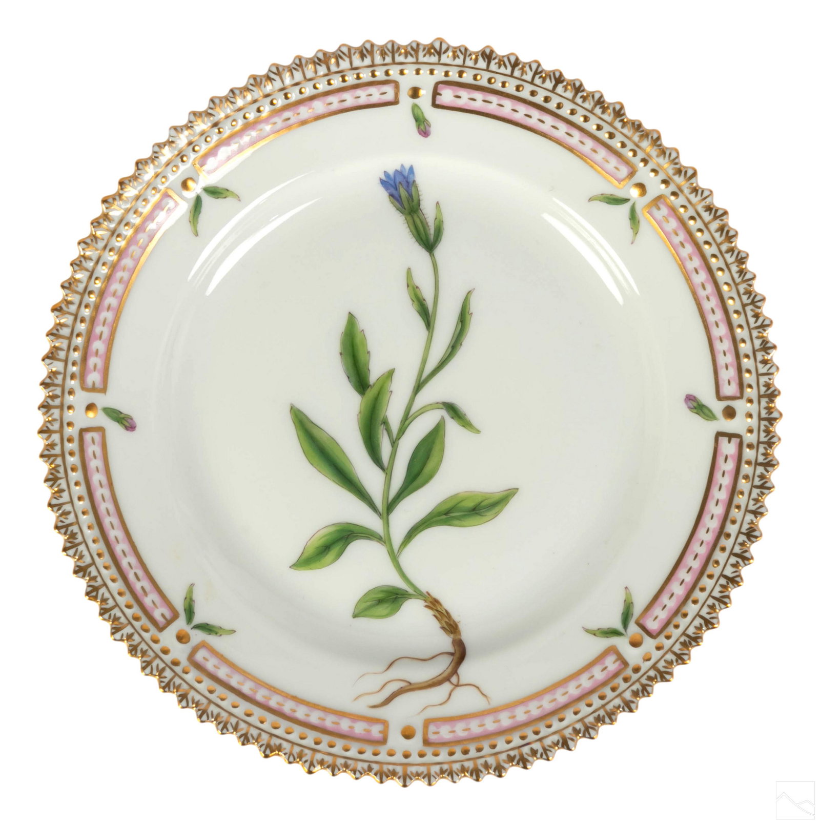 Royal Copenhagen Flora Danica Bread Butter Plate: Royal Copenhagen Flora Danica porcelain plate saucer. No. 20/3552. Latin name: "Campanula Unifora L." Profuse gold gilding. ROYAL COPENHAGEN DENMARK backstamp with pattern and edition information and 