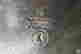 item-127893298=4