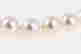 item-127893356=2